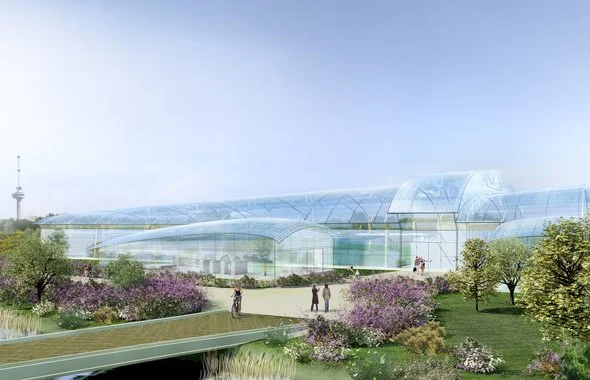 Design of Polydome Arkna